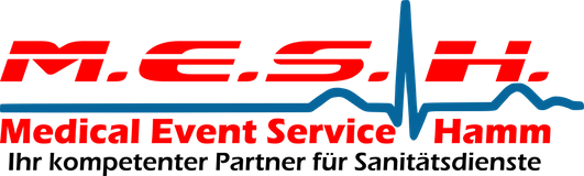 Logo M.E.S.H.
